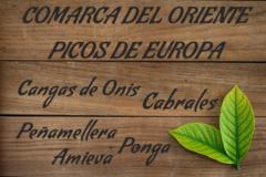 comarca_oriente_picos_europa_240x160.jpg